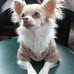 Profile Picture of Thomas Der Berliner (Berliner) (@thomas.derberliner) on Facebook