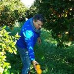 Profile Picture of Corrado Armando Albanese (@corradoarmando) on Instagram