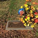 Profile Picture of Scott Standridge (@scott.standridge) on Instagram