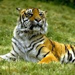 Profile Picture of Sundar Raj Jayaraman (@coolsundar29) on Instagram