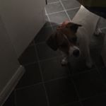 Profile Picture of Alex Mclaughlin (@alex.jr100) on Instagram