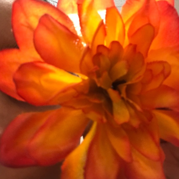 Profile Picture of Tori Palomba (@tizzle606) on Poshmark