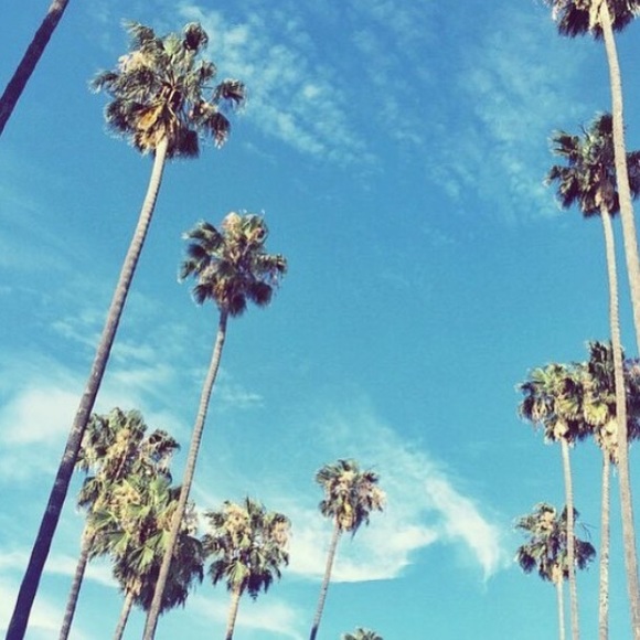 Profile Picture of Sahar Rahimian (@mycloset9) on Poshmark