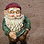 Profile Picture of Nancy Ross (@nan_ross) on Flickr