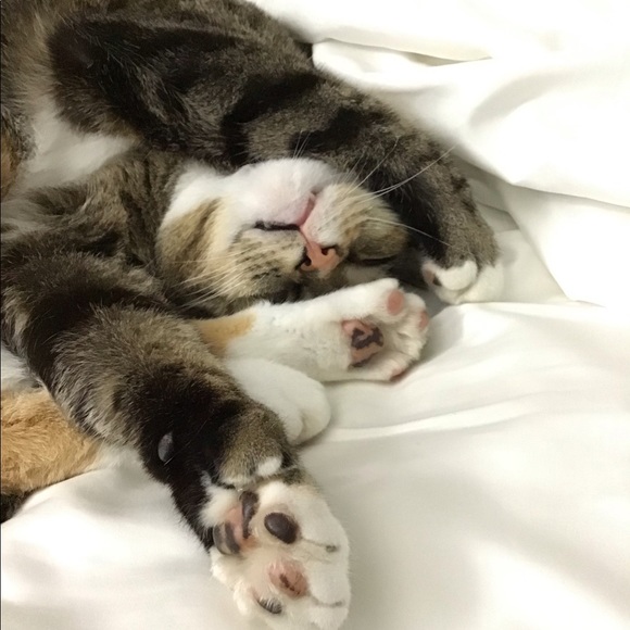 Profile Picture of Chris Rodenbaugh (@rgb2cmyk) on Poshmark