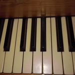 Profile Picture of Kerry hyland (@zebrasandmonkeys345) on Instagram