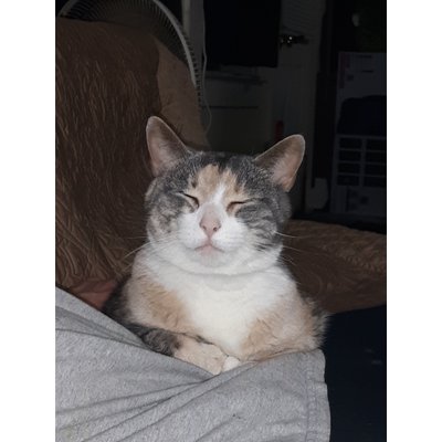 Profile Picture of Jacob Macek (@MacekJacob) on Twitter