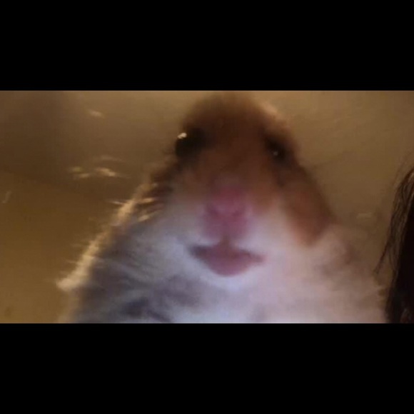 Profile Picture of Christopher Walter (@chris_walt_rat) on Poshmark
