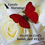 Profile Picture of curt Richards (@richards.curt) on Instagram