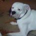Profile Picture of Joshua Swisher (@joshua.swisher.33) on Facebook