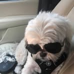 Profile Picture of Kenneth Olive (@kenneth.olive.9) on Facebook