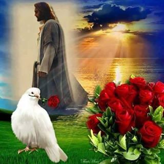 Profile Picture of Juan Garrido (@Juan-Garrido) on Facebook