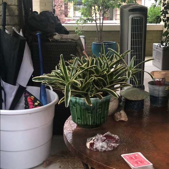 Profile Picture of Corey Boland (@coreyboland333) on Poshmark