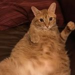 Profile Picture of Alex Weatherly (@alex.weatherly.5437) on Instagram