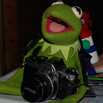 Profile Picture of William Ackerman (@william m ackerman) on Flickr