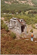 Profile Picture of Klondyke millon Wikipedia