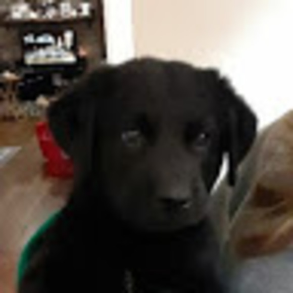 Profile Picture of Mikey Barrigar (@mbarrigarjr) on Poshmark