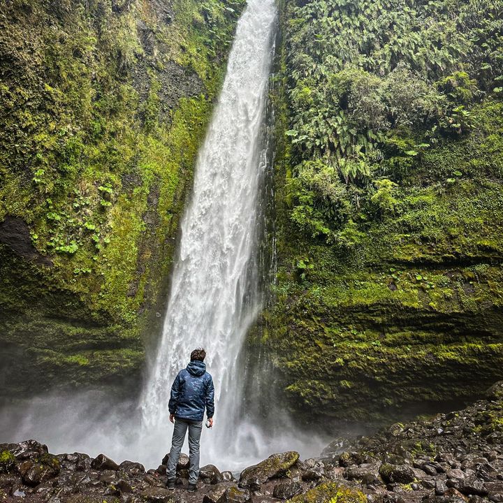 Profile Picture of Sebastian Bachmann Berrocal (@sebastianbachmann_) on Tiktok