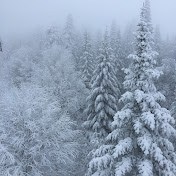 Profile Picture of Tae-Jin (@tjfirehost) on Youtube