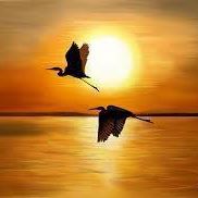 Profile Picture of Saraswathy Anantharaman (@saraswathy.anantharaman.5) on Facebook
