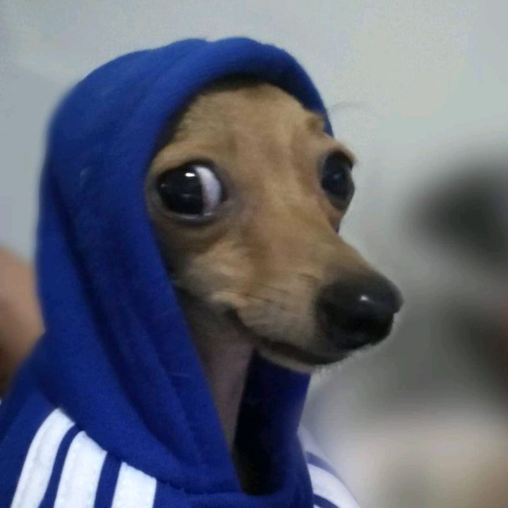 Profile Picture of dany_roque (@danyluz36) on Tiktok