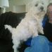 Profile Picture of Robin O'Reilly (@robin.oreilly.735) on Facebook