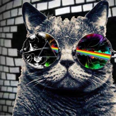 Profile Picture of Bob Jester (@bobJester67) on Twitter