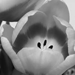 Profile Picture of Jason Bretzman (@jbretzman) on Instagram