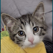 Profile Picture of Hope Simpson (@Hope_Crochets) on Youtube