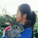 Profile Picture of Lisa Choi (@lisarabbitchoi) on Instagram