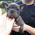 Profile Picture of Jacqueline McClure (@mcclure.jacqueline) on Instagram