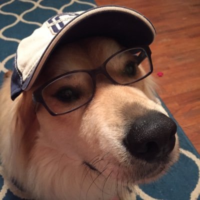 Profile Picture of Karl Barkington (@RuffBarkington) on Twitter