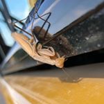 Profile Picture of Adam Kulesza (@adkul2382) on Instagram