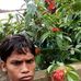 Profile Picture of Shivam Baghel Kartik Singh (@shivambaghel.kartiksingh) on Facebook