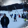 Profile Picture of David Ting (@@davidting97) on Tiktok