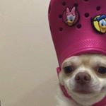 Profile Picture of Joanna Czerwińska (@joannaaczerwinska) on Instagram