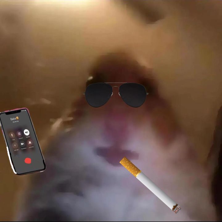 Profile Picture of Tomas Abdo (@tomas543245) on Tiktok