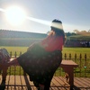 Profile Picture of Anamika Singh (@@anamikasingh8940) on Tiktok