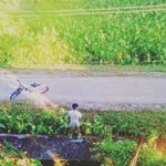 Profile Picture of Manju Hazurika (@_arpan_naba_hazarika_) on Instagram