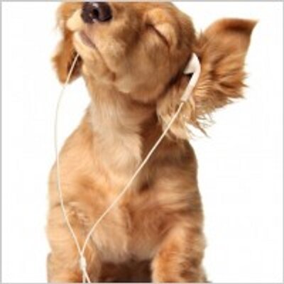 Profile Picture of Gordon Von Rentzell (@GRentzell) on Twitter
