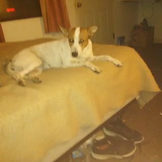 Profile Picture of Daniel Calkins (@daniel.calkins.965) on Facebook