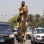 Profile Picture of Andrés Arnoldo (@Andrés-Arnoldo) on Facebook