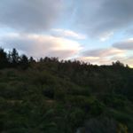 Profile Picture of janet marlin (@janikeer) on Instagram