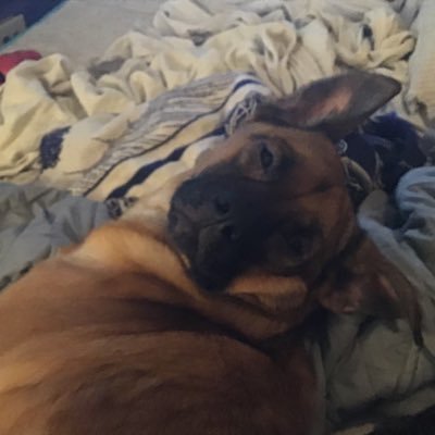 Profile Picture of Nick Helser (@HelserNick) on Twitter