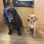 Profile Picture of Neil Salter (@nsalter7) on Instagram