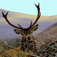 Profile Picture of Heather Teale (@heather-teale) on Quora