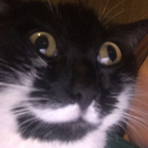 Madison Lenarz - Poshmark Profile Picture of Madison Lenarz (@wetbread2001) on Poshmark