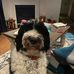 Profile Picture of Gary Aldred (@gary.aldred.161) on Facebook