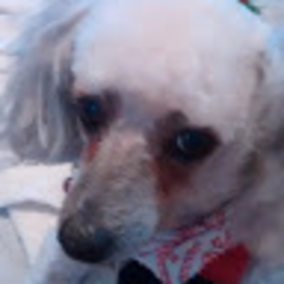 Profile Picture of John Andersen (@satspmone) on Poshmark