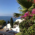 Profile Picture of Christine Stützel (@christine.stuetzel) on Instagram